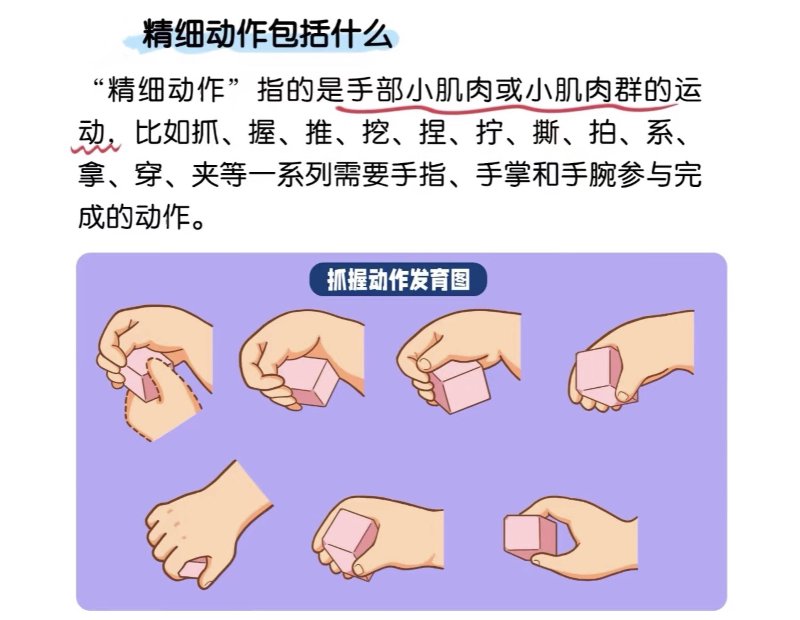 精细动作训练
