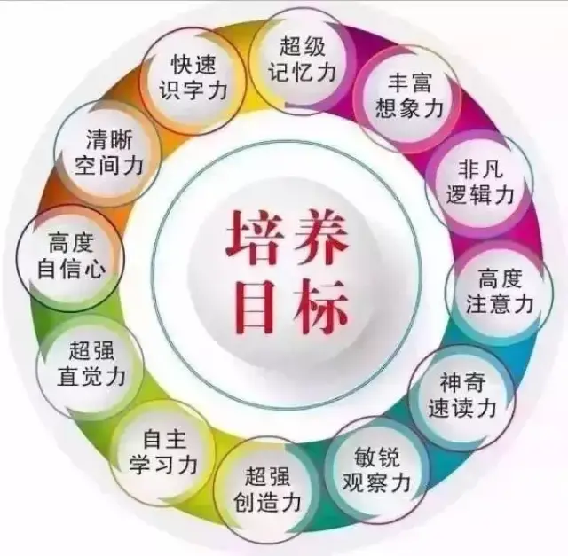 全脑开发